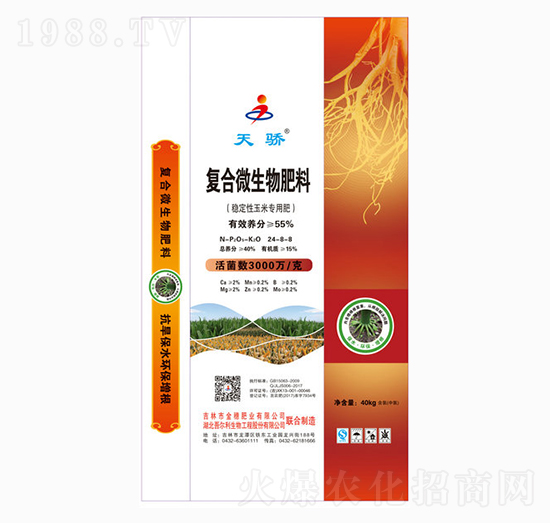 ��(f��)��΢�������-���-����ʘI(y��)