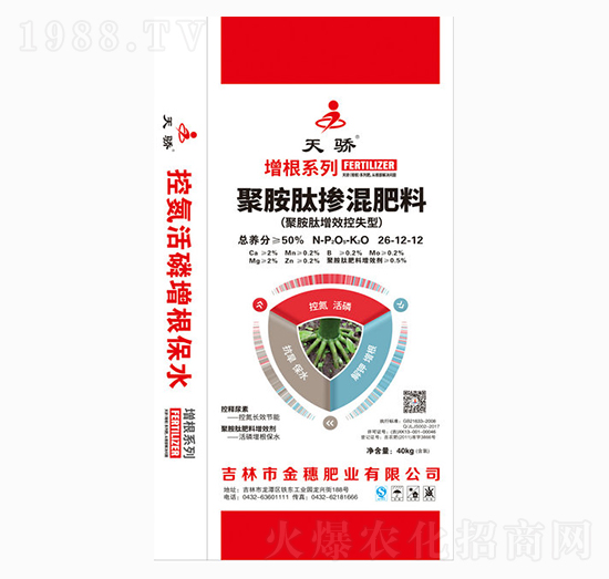 �۰��ē������-���-����ʘI(y��)