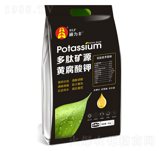 ���ĵVԴ�S�����-�T���S����