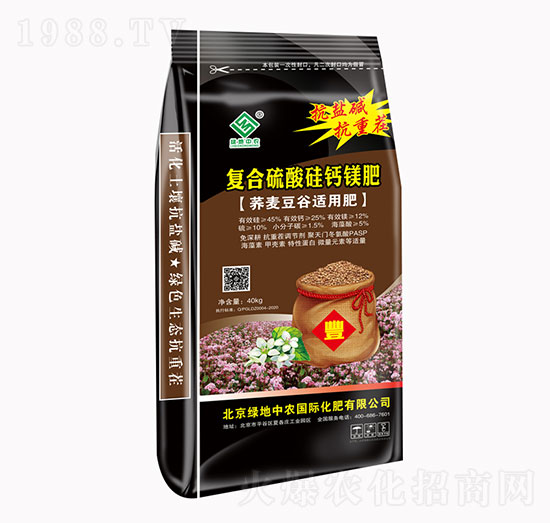 �ͺ�������}�V��-�G�����r(n��ng)