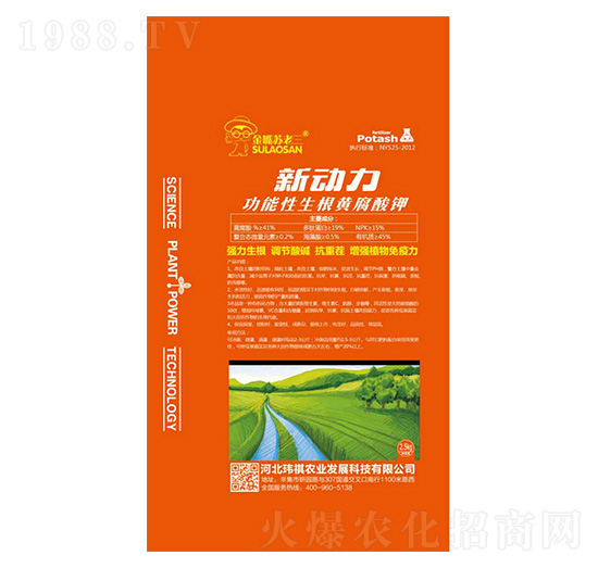 �����������S�����-����-�|���r(n��ng)�I(y��)