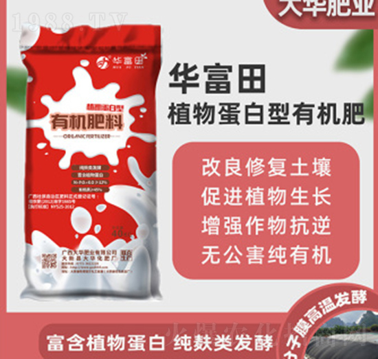 ֲ�ﵰ�����ЙC(j��)����-�A����-���A�ʘI(y��)