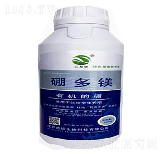 ����V-�ؘ�����