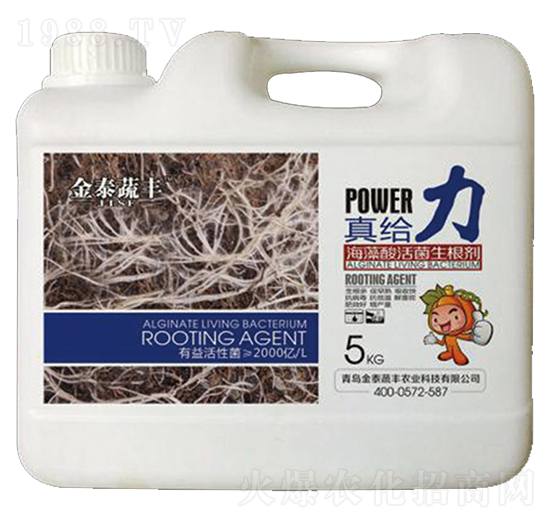 ������������-��o��-��̩���S