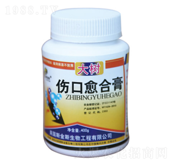 ���������ϸ�-�и�����