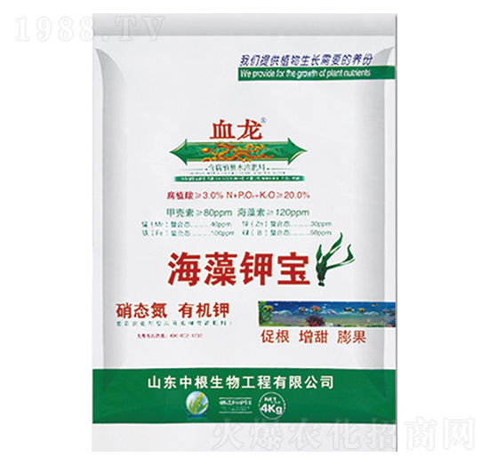 ����⛌�-Ѫ��-�и�����