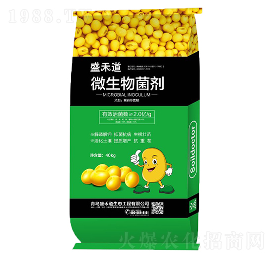 2�|΢�������-ʢ�̵�