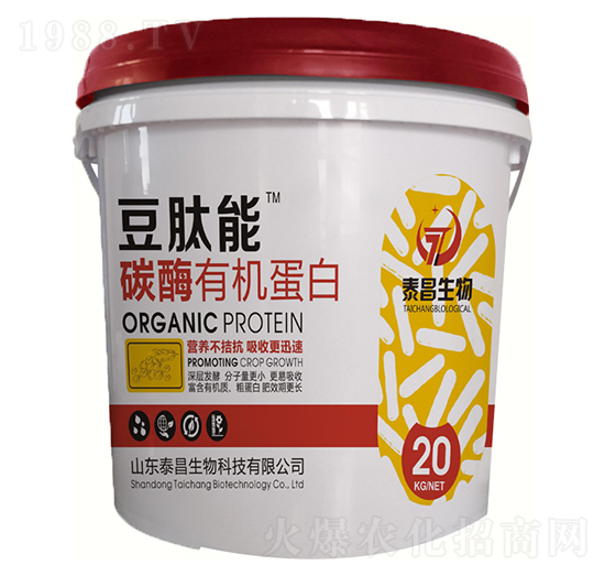 ̼ø�ЙC(j��)����-������-̩������