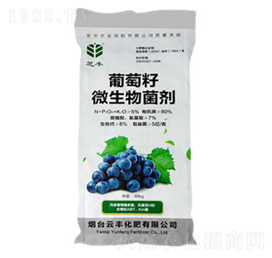 ������΢�������-֥�S-���S����