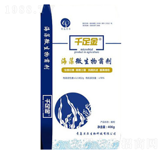 ����΢�������-ǧ���