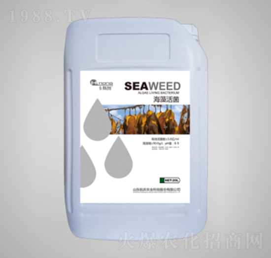 ������-���r�r�I(y��)