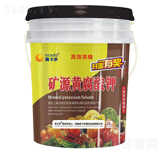 �VԴ�S�����-�W����