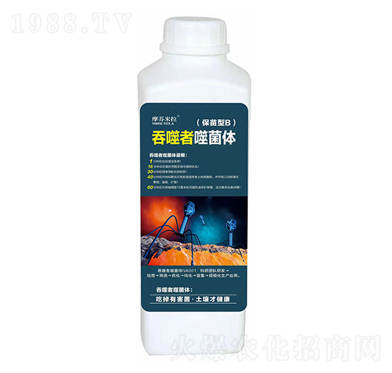 ������B-�������ɾ��w-Ħ�K����