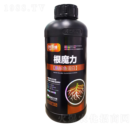 酶解魚(yú)蛋白-根魔力-海岱綠洲