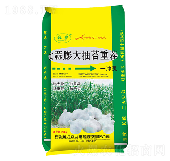 大蒜膨大抽苔重茬一噴綠-芭潤(rùn)