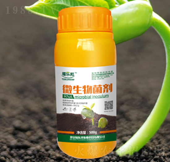 ΢�������ƿ�b-������