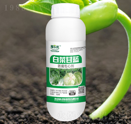 �ײ˸��{(l��n)�������Ą�-������