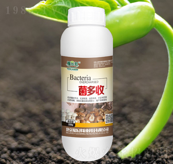 ������-������