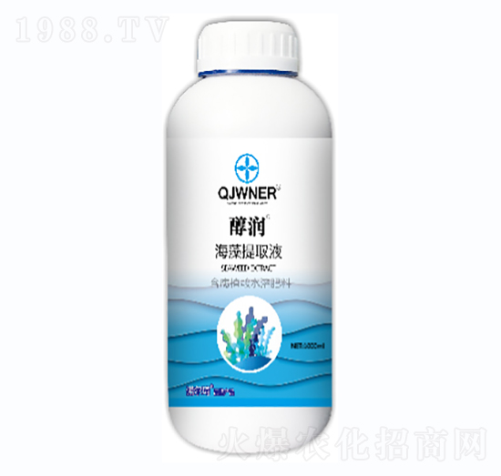 ������ȡҺ-�Z����