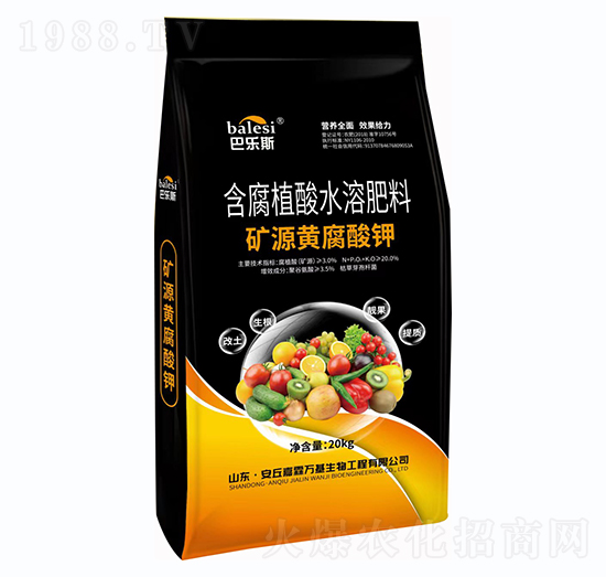 �VԴ�S�����-�͘�(l��)˹-�����f(w��n)��