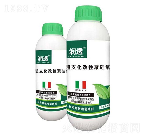 ��֧���ľ۹���-��(r��n)͸-�R�Ǻτ�(chu��ng)