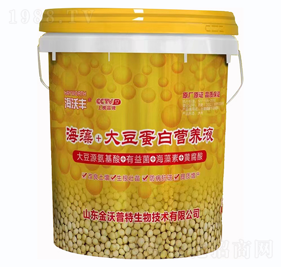 ����+�󶹵��נI(y��ng)�B(y��ng)Һ-�����S-��������