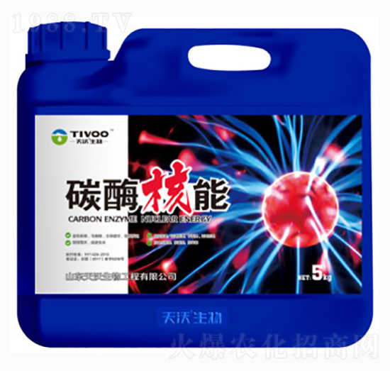 ̼ø����-��¹����