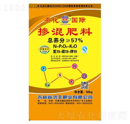 �������19-19-19-Ӣ��-���S�ʘI(y��)