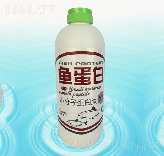 �~����-�{(l��n)���r(n��ng)��