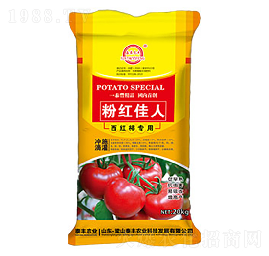 西紅柿專用-粉紅佳人-梁山泰豐