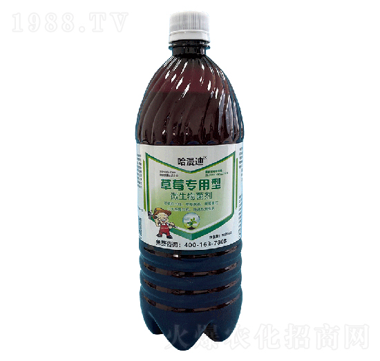 ��ݮ������΢�������-�ο�ֲ��