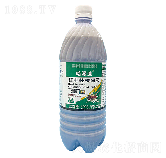 ��ݮ�t���������`-�ο�ֲ��