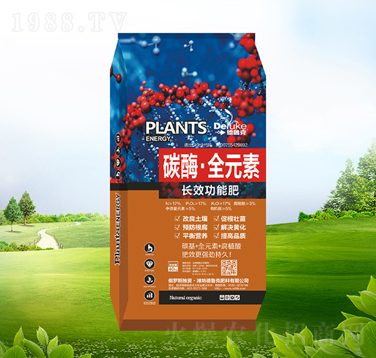 ̼ø��ȫԪ��-������