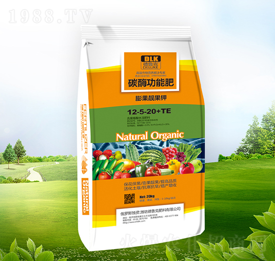 ����n���12-5-20+TE-������