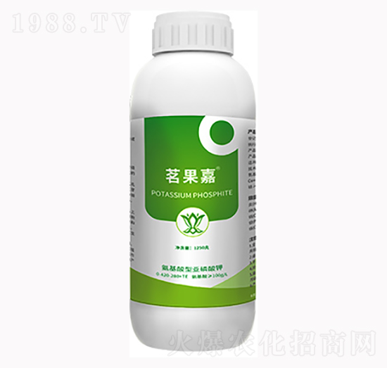 ������-���_(d��)