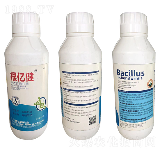 地衣芽孢桿菌-根億健-億農(nóng)高科