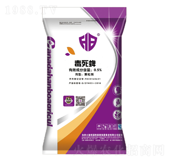 ������ˎ��-¡������