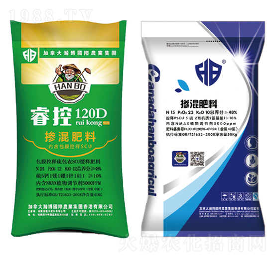 ؓ������-¡������