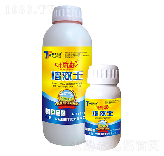 ��Ч��-�~����-���S����