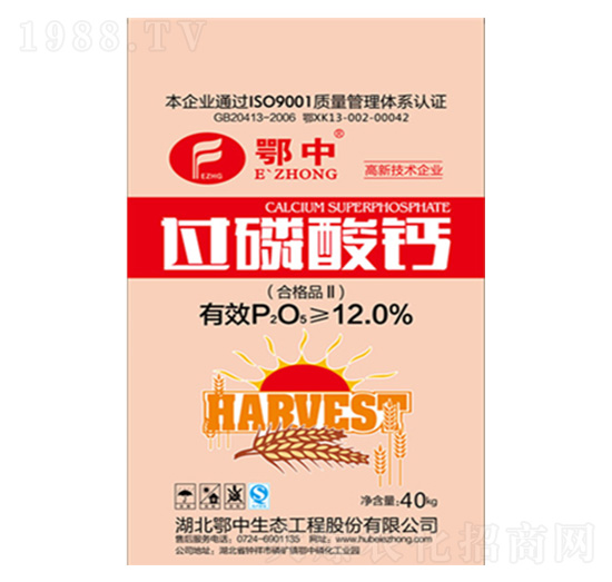 40kg�^(gu��)�����}-���зʘI(y��)