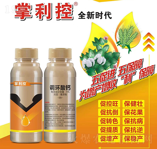 5%�{(di��o)�h(hu��n)���}-������-��⻯��