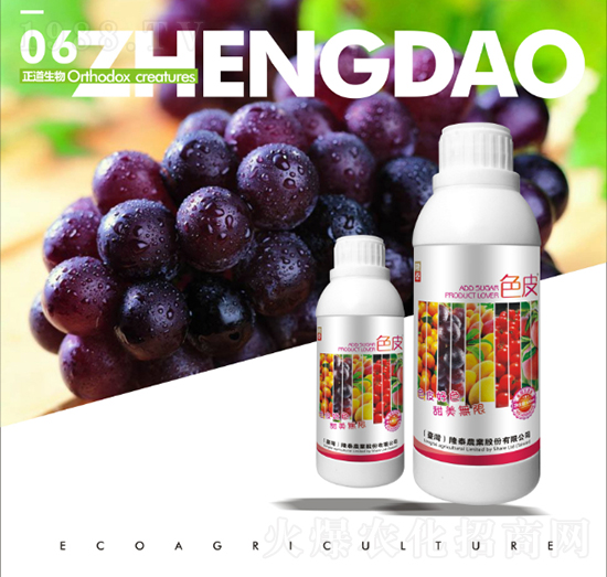 ��������~���-ɫƤ-��������