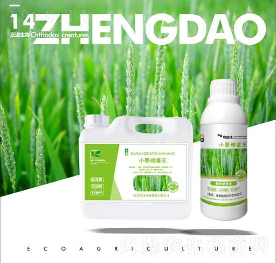 С�����a(ch��n)��-��������