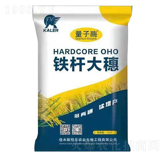 �F�U����-���r�I(y��)