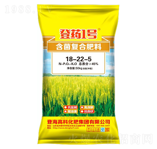 ������(f��)�Ϸ���18-22-5-��ˎ1̖-�Ƿ�