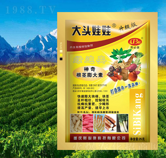 神奇根莖膨大素-大頭娃娃-斯必康