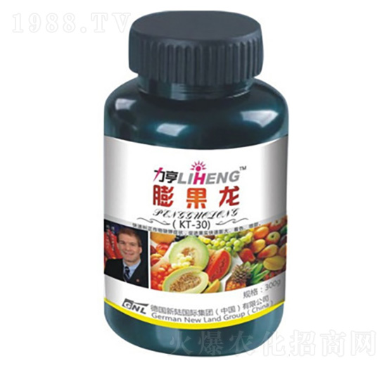 �����-����-�»�