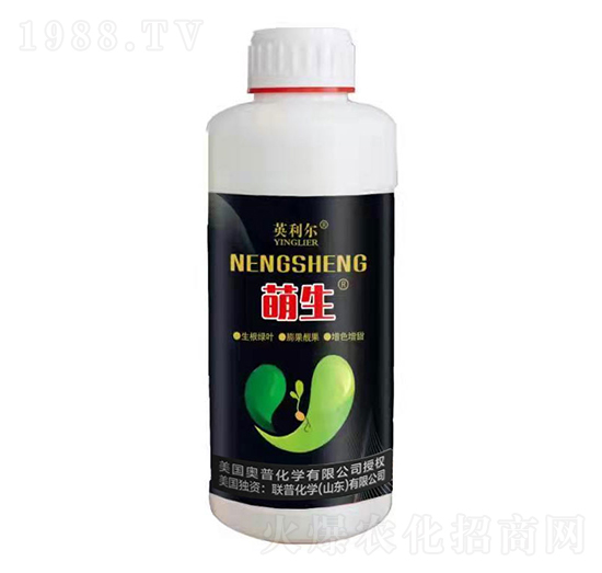 ����-(li��n)�ջ��W