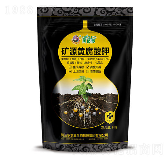 �VԴ�S�����-�����_