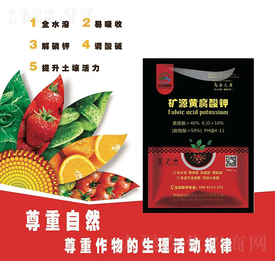 �VԴ�S�����-�а�����